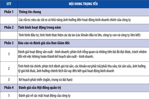 Nét mới trong Cuộc bình chọn Báo cáo thường niên 2015