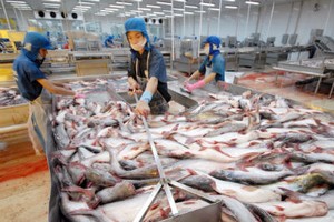 Đại gia ngành thủy sản Seaprodex đã chính thức chuyển đổi sang mô hình công ty cổ phần