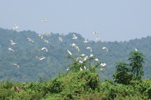 Những tình huống oái oăm trong việc mua bán nhà đất