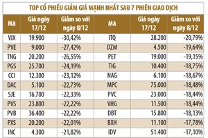 Doanh nghiệp lớn vẫn vững bước
