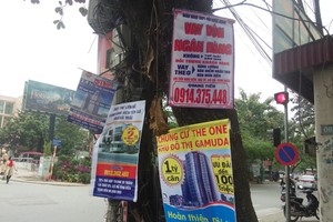 Nơi ngã tư đường đèn xanh đèn đỏ là vị trí đắc địa. Ai  cũng muốn bon chen nên gốc cây được tận dụng không còn chỗ trống