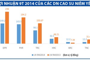 Doanh nghiệp cao su “đầu hàng” kế hoạch kinh doanh
