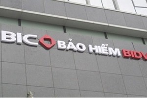 BIC thành lập 3 công ty thành viên