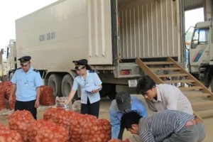 Xã hội hoá việc kiểm tra sẽ giảm tải công việc của cơ quan kiểm tra và tiết kiệm ngân sách (Ảnh minh hoạ)