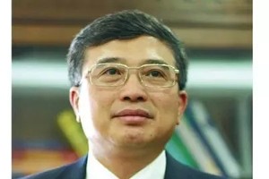 Ông Hoàng Quốc Vượng, Chủ tịch HĐTV Tập đoàn Điện lực Việt Nam (EVN)