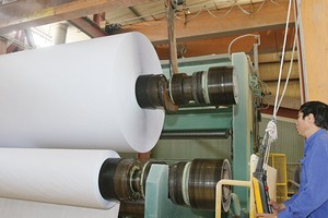 Trong năm 2014, Tổng công ty Giấy Việt Nam chỉ cổ phần hóa được 1/4 đơn vị