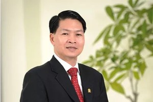 Ông Mai Việt Hà, tân Tổng giám đốc Savico
