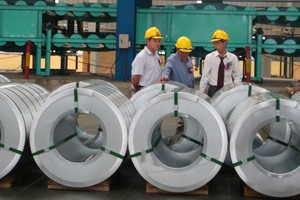 Hoa Sen chuyển hướng đầu tư, vì sao?