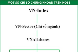 Dấu ấn bộ chỉ số HOSE Index