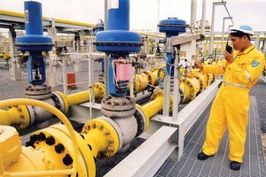 PGS để ngỏ kế hoạch lợi nhuận 2015