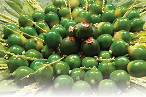 Nghĩ ở 18 thôn Vườn Trầu…