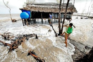 Biến đổi khí hậu tạo nên những hậu quả khôn lường (Ảnh minh hoạ)