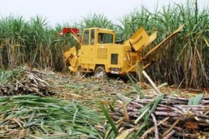 Ngành mía đường phải quyết tâm thực hiện cuộc cách mạng, đổi mới toàn diện theo hướng nông nghiệp công nghệ cao