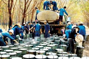 Giá cao su tự nhiên khó phục hồi do nguồn cung cao su tổng hợp đang dư thừa