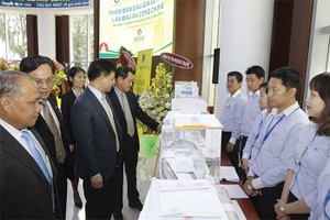 Đặt mua khối lượng lớn cổ phần qua đấu giá DNNN phải báo cáo Ban tổ chức đấu giá và công bố thông tin