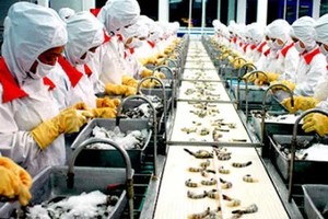 Năm 2014, Minh Phú lãi gấp 3 lần so với năm trước đó