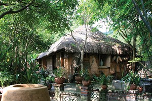 Cây trong vườn nhà