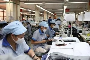 Nhiều doanh nghiệp Thái Lan muốn tìm kiếm doanh nghiệp dệt may Việt Nam để thành lập công ty liên doanh