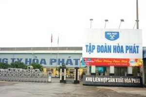 Đại gia thép Hòa Phát gây ngỡ ngàng khi chọn lĩnh vực thức ăn chăn nuôi để làm bàn đạp tấn công vào ngành nông nghiệp