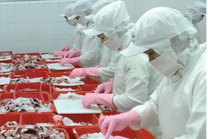 Khoản lỗ năm 2014 đã khiến VNH âm tới 54% vốn điều lệ