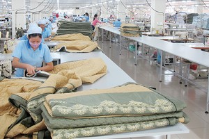 Khúc mắc trước thềm ĐHCĐ Everpia