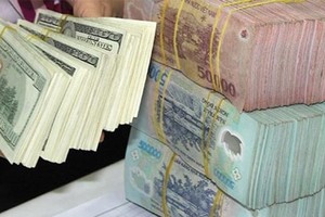 Bất thường tỷ giá là do đầu cơ?