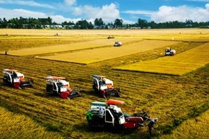 Chính sách hỗ trợ đất đai cho hợp tác xã theo Luật Đất đai hiện đang được hoàn tất