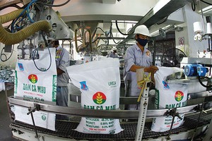 2015, doanh nghiệp phân bón vẫn là  điểm đến hấp dẫn