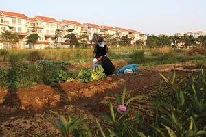 Khách hàng hiện nay thường quan tâm đến các dự án đã hoặc sắp hoàn thiện - Ảnh: Hoài Nam