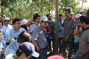 Đại gia rối bời với truyền thông!