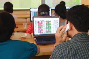 Trong cuộc “lột xác “của nhiều DN niêm yết, vai trò của các NĐT cá nhân tăng lên đáng kể