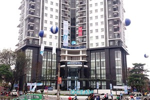 Theo tài liệu OGC phát cho cổ đông, năm 2014, Tập đoàn lỗ sau thuế 1.307 tỷ đồng