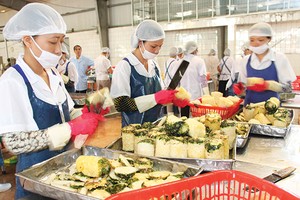 Kinh nghiệm đáng tiếc từ Luật Bảo hiểm xã hội