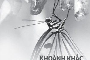 Có thể thấy, 2014 là một năm của rất nhiều biến động trên mọi lĩnh vực kinh tế, chính trị, xã hội tại Việt Nam và trên thế giới. Với vai trò là một CTCK đầu ngành, có những đóng góp tích cực vào sự phát triển của TTCK Việt Nam, HSC nhìn thấy rõ và mong mu