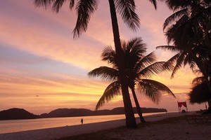 Ai cũng nên mơ một lần!