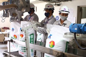 Đạm Cà Mau có kết quả kinh doanh 6 tháng đầu năm tạm làm hài lòng các nhà đầu tư