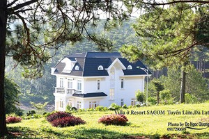 SAM sở hữu nhiều dự án và tài sản giá trị