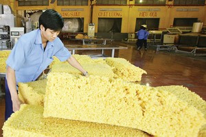 Lợi nhuận của các DN cao su tự nhiên giảm tới 40-50% so với cùng kỳ năm ngoái
