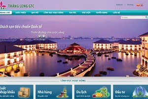 Phiên đấu giá cổ phần của Công ty TNHH MTV Thăng Long GTC đang thu hút rất nhiều sự quan tâm của NĐT