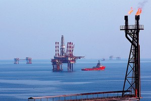 Thị trường giàn khoan tại Việt Nam cần 17 giàn/năm