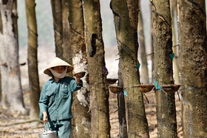 7 tháng đầu năm, TRC đạt 22,8 tỷ đồng lợi nhuận