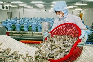 Công ty cổ phần Thủy hải sản Việt Nhật (VNH) tuy hoạt động bết bát nhưng vẫn cho vay “ân tình” tới 15,22 tỷ đồng