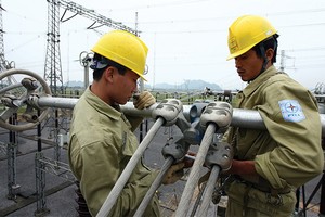 Tập đoàn Điện lực   Việt Nam dự kiến trong năm 2015 sẽ hoàn tất việc thoái vốn đầu tư ngoài ngành