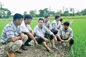 AGPPS triển khai chương trình Cùng nông dân ra đồng và xây dựng Lực lượng 3 Cùng giúp bà con nông dân trên khắp cả nước