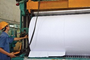 Sojitz dời dự án bột giấy từ Quảng Ngãi về Quảng Ninh?