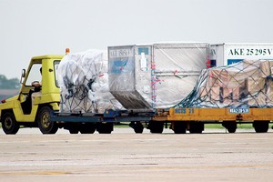 Noibai Cargo vừa quyết định tạm ứng cổ tức năm 2015 cho cổ đông tỷ lệ 50% bằng tiền