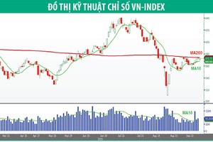Chờ sóng kết quả kinh doanh quý III