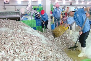 Doanh nghiệp chế biến thủy sản tại Thanh Hóa ‘đói’ nguyên liệu