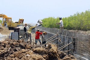 Xây dựng bờ kè chống sạt lở ven biển ở Kiên Giang. Ảnh: Công HânTNO