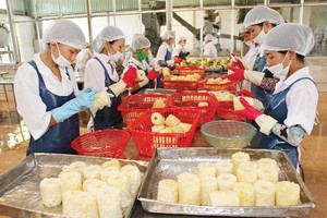 Số lượng đơn đặt hàng xuất khẩu đang trên đà suy giảm, cho thấy hoạt động sản xuất khó phục hồi mạnh